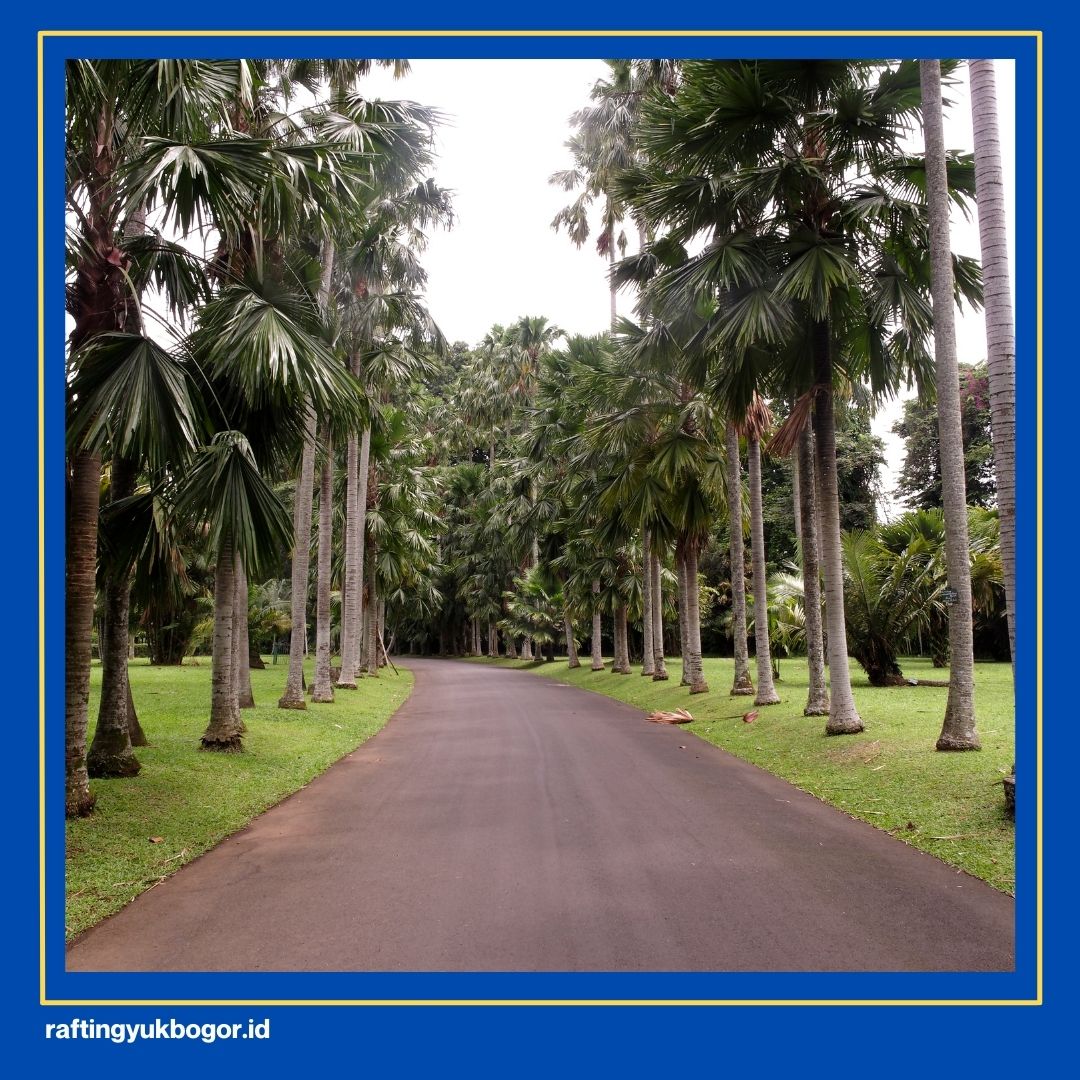 tempat piknik di bogor