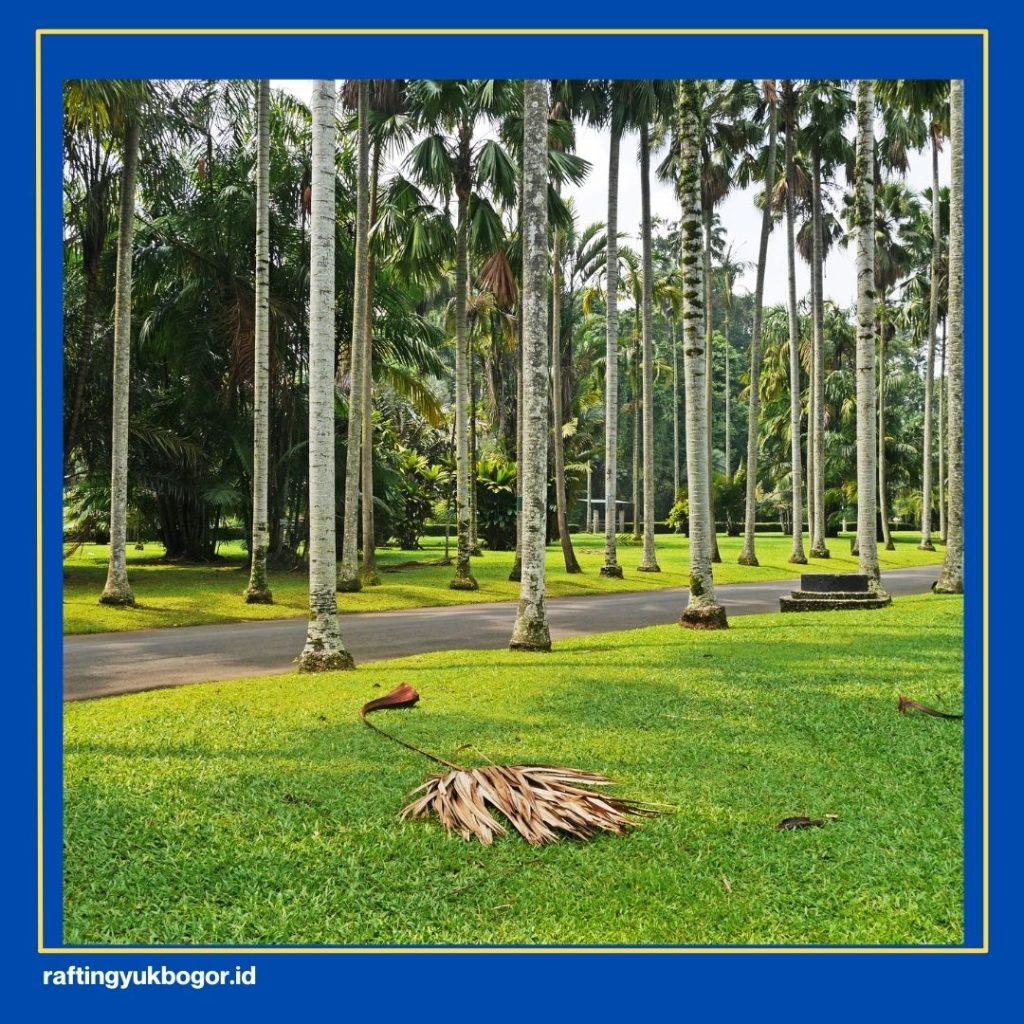 Tempat Wisata Malam!