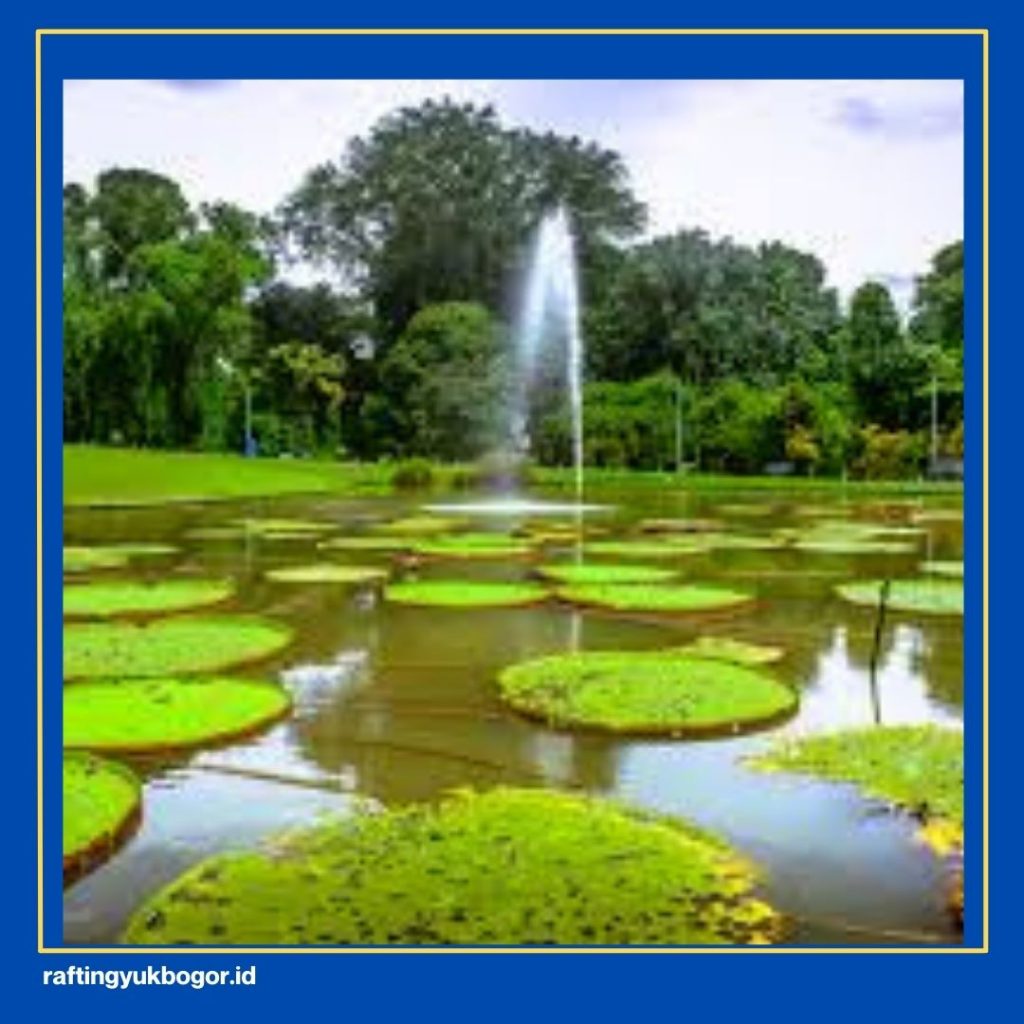 Jalan-Jalan di Bogor