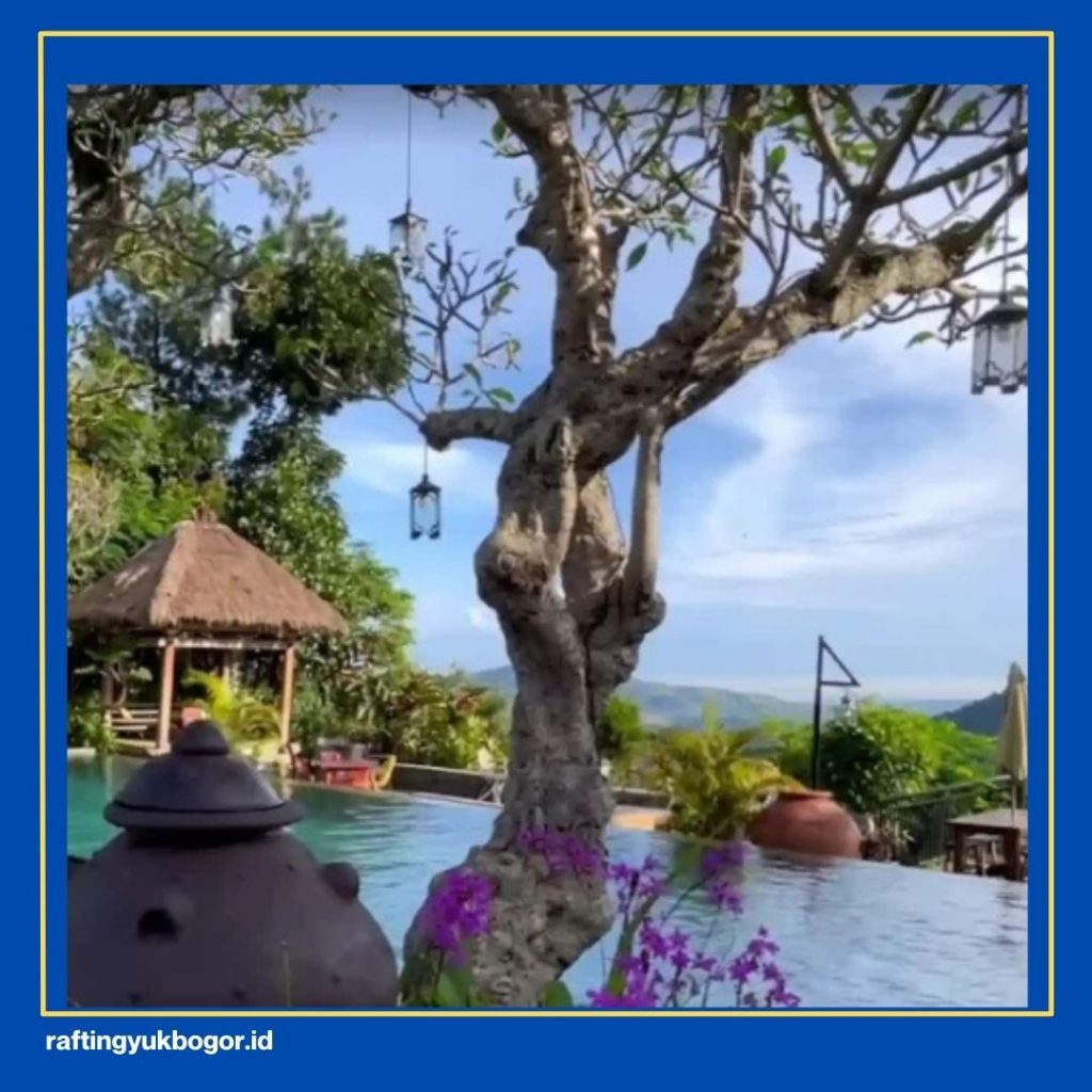 Penginapan Instagramable di Bogor