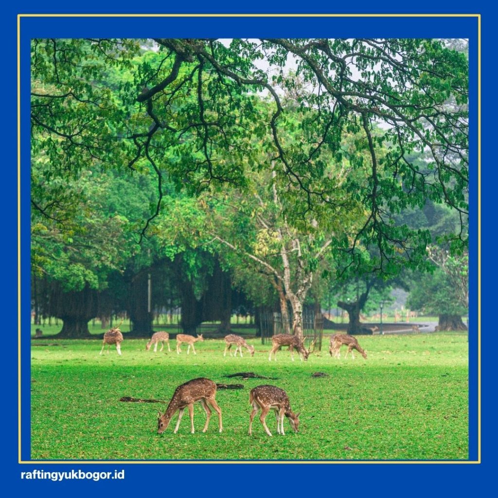 Itinerary Bogor 1 Hari