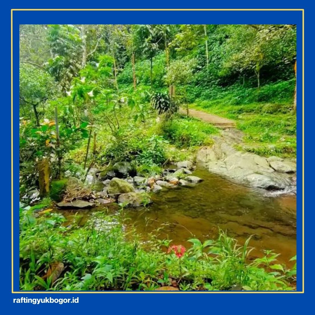 Curug di Bogor yang Mudah Dijangkau
