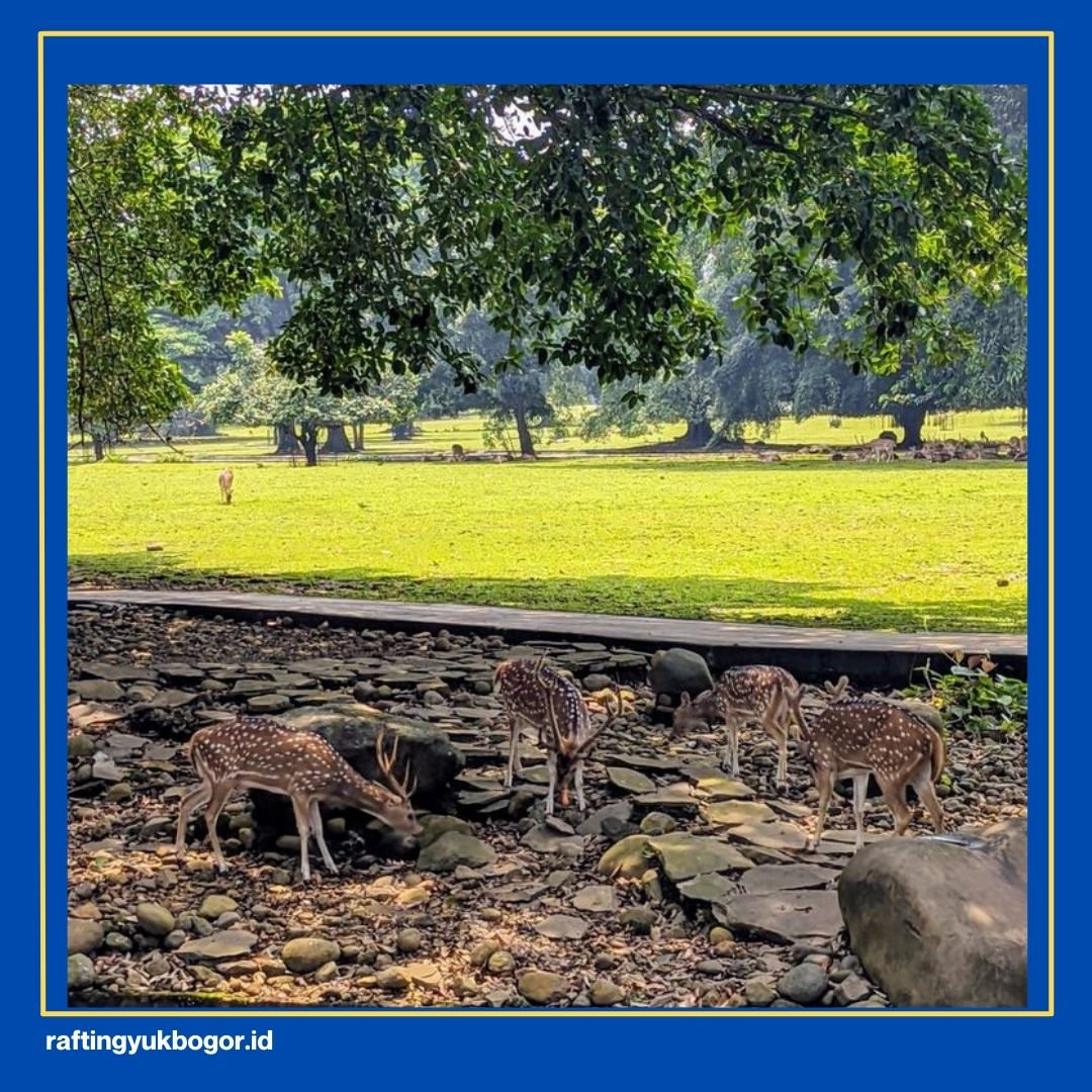 Taman Wisata di Bogor